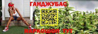 гидра Ставрополь