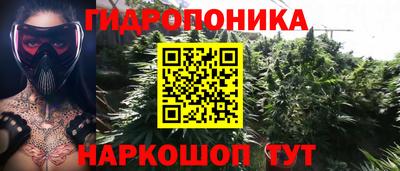 экстази Сланцы
