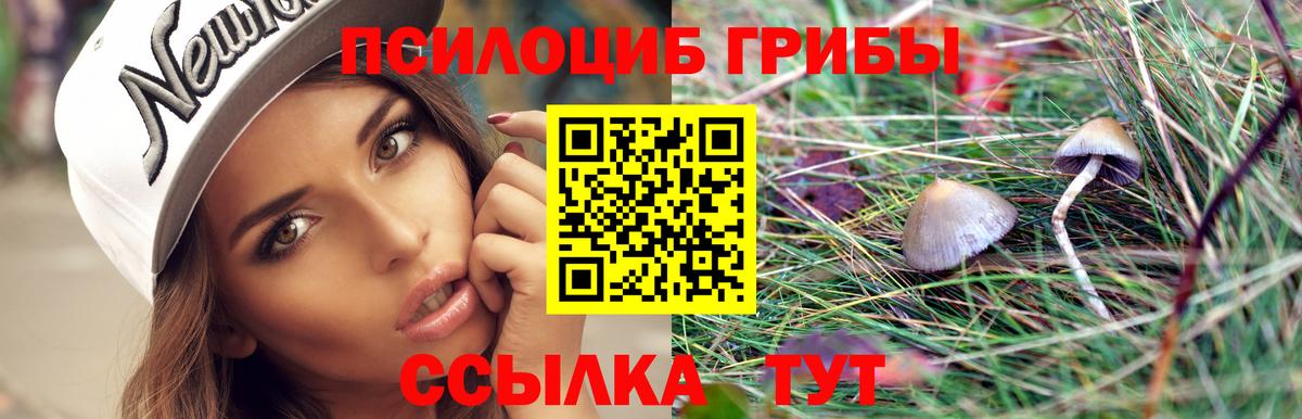 Псилоцибиновые грибы Magic Shrooms Нерюнгри