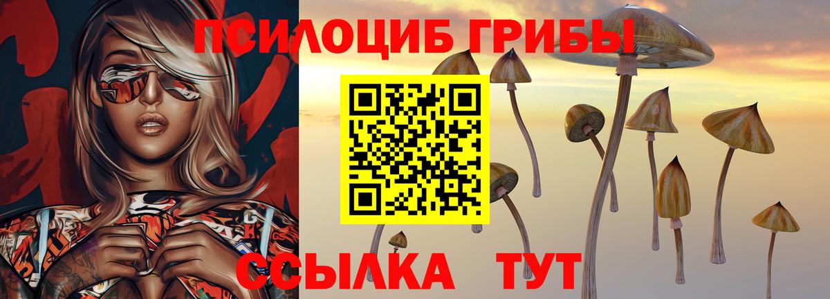 Псилоцибиновые грибы ЛСД  Вход с VPN  Нерюнгри 